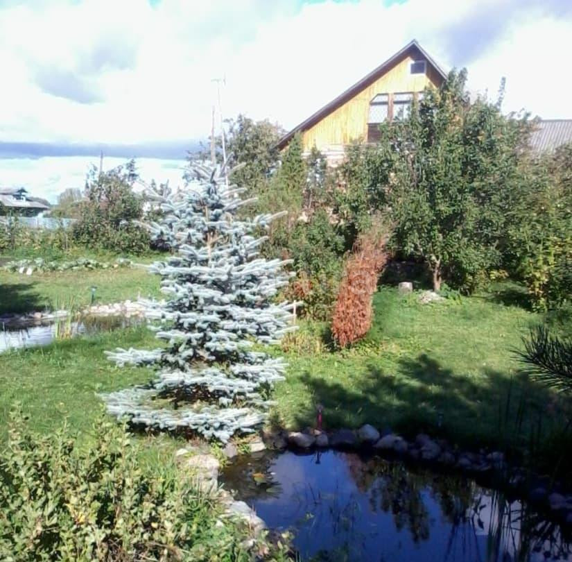 Дом, 220 м2, 22 сотки, 2 эт. Родники - изображение 4