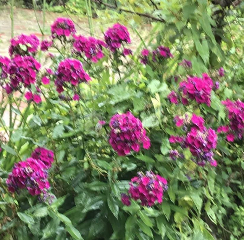 Дом, 310 м2, 24 сотки, 3 эт. Одинцово - изображение 7