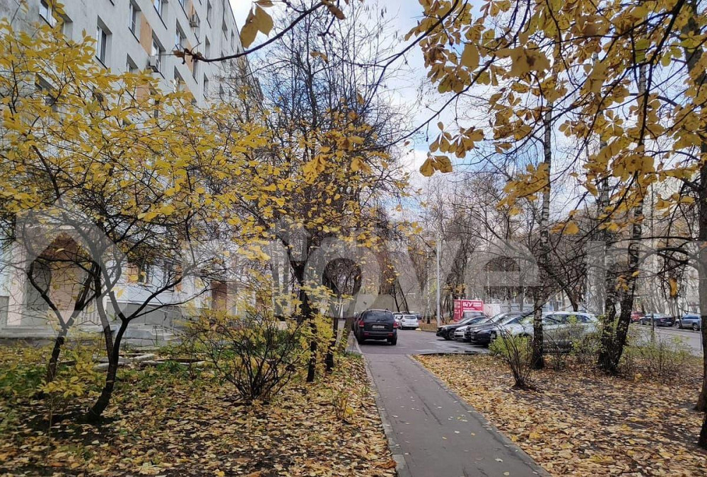 Студия, 11 м2, 1/9 эт. Москва - изображение 4