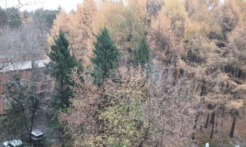 Комната, 36 м2, 9/14 эт. Москва - изображение 17