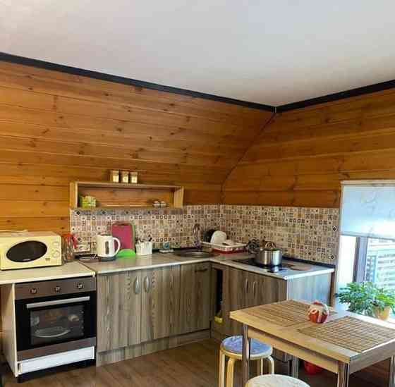 Дом, 45 м2, 6 соток, 2 эт. Сосново