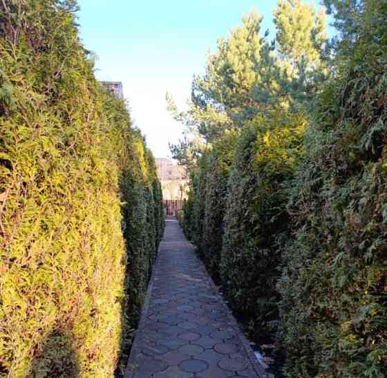 Таунхаус, 200 м2, 1.5 га, 2 эт. Истра