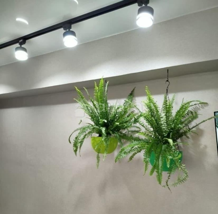 Комната, 14 м2, 1/5 эт. Красноярск - изображение 5