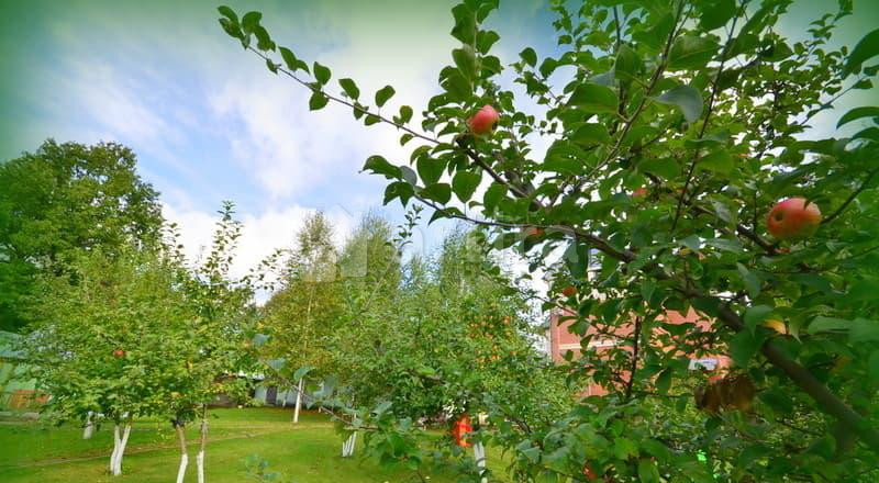 Коттедж, 2200 м2 Наро-Фоминск - изображение 6