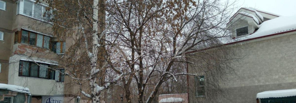 Гараж, 34 м2 Кемерово - изображение 2