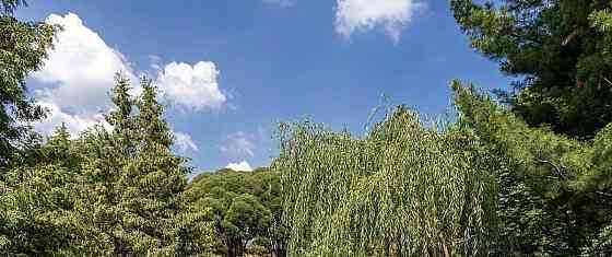 Дом, 1100 м2, 30 соток, 3 эт. Одинцово