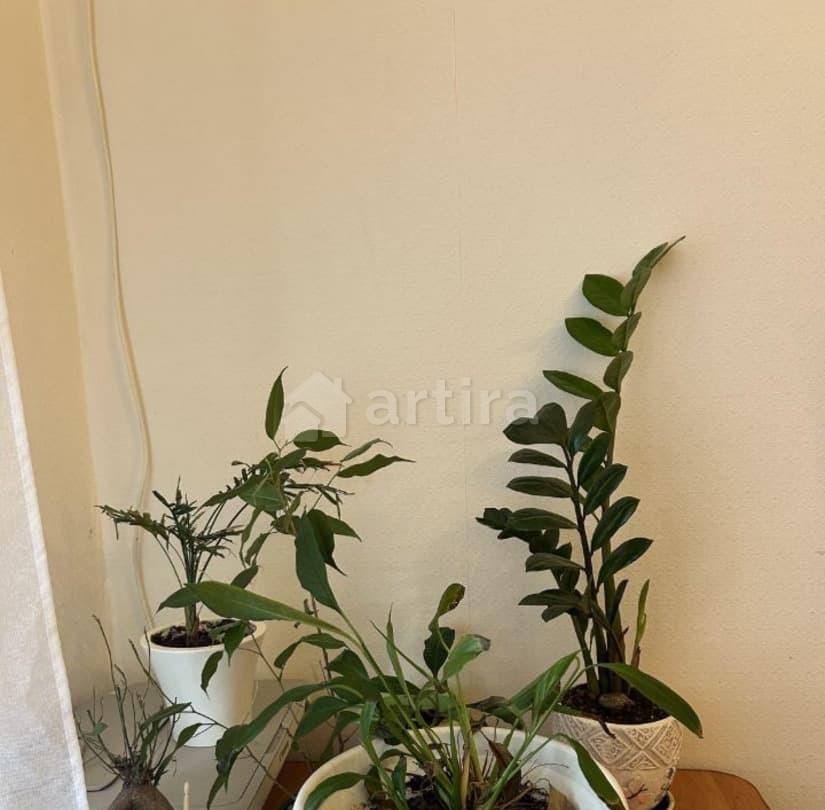 Комната, 14.5 м2, 5/5 эт. Москва - изображение 7