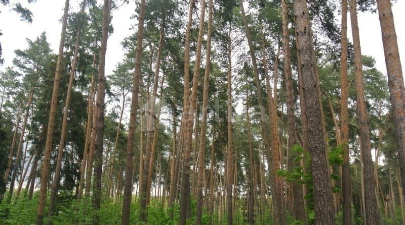 Дача, 100 м2, 2 сотки Кратово - изображение 2