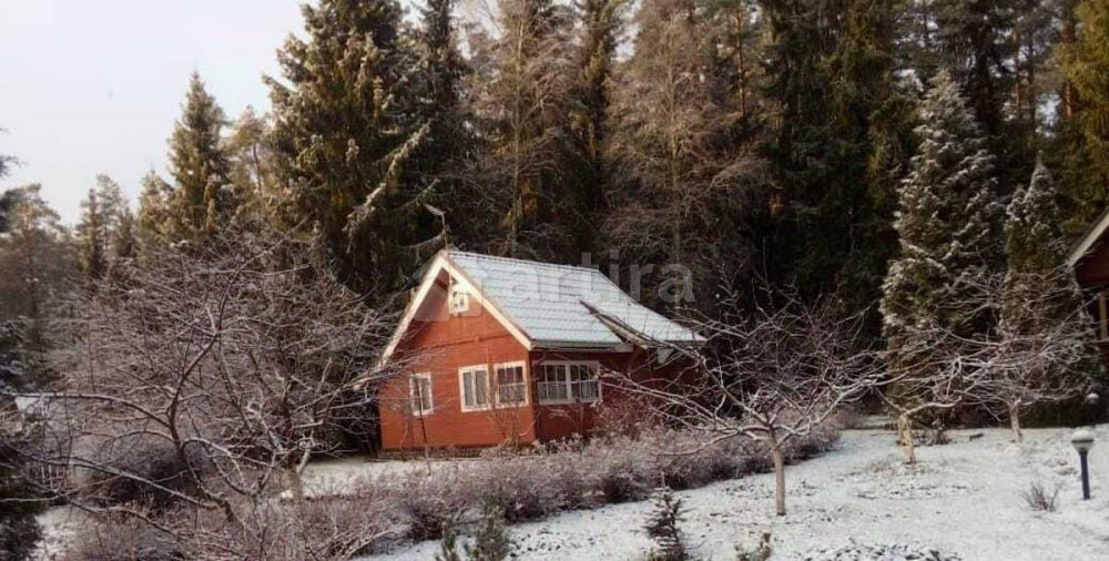 Коттедж, 50 м2, 50 соток, 1 эт. Сосново - изображение 2