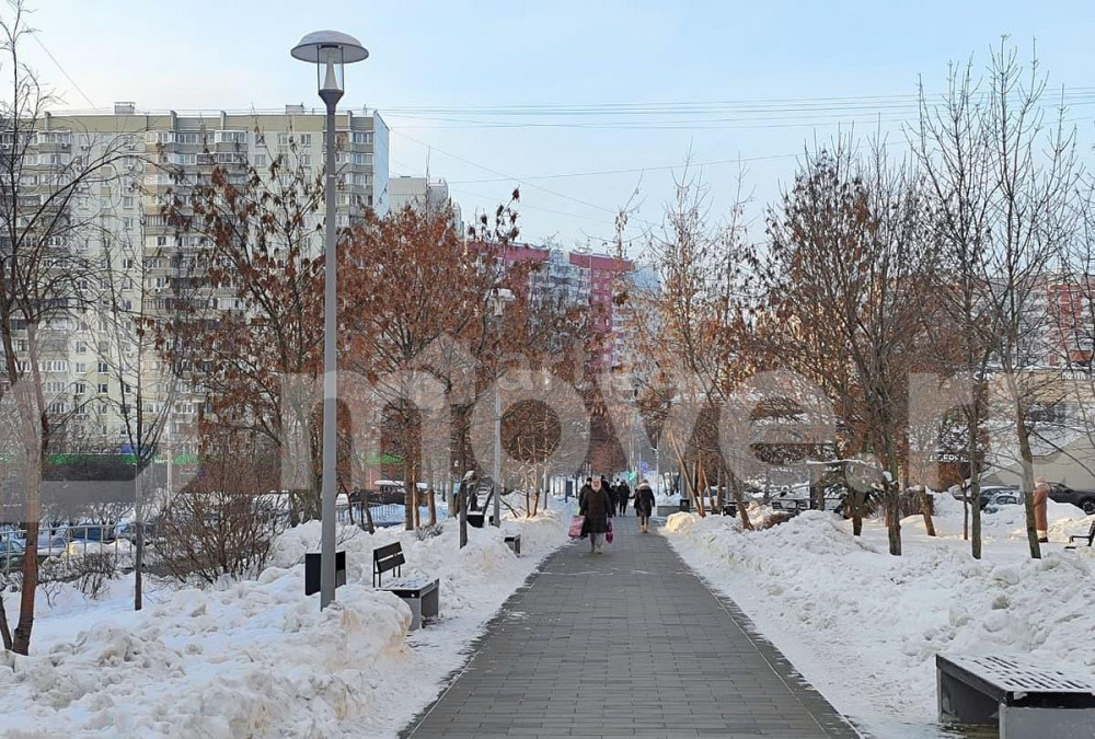 Студия, 23.5 м2, 1/22 эт. Москва - изображение 4