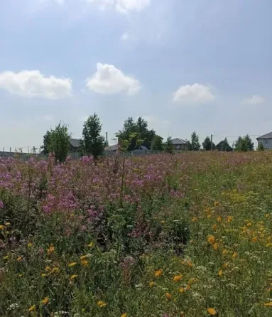 Продам земельный участок, Садовый 15 сот. Красноярск