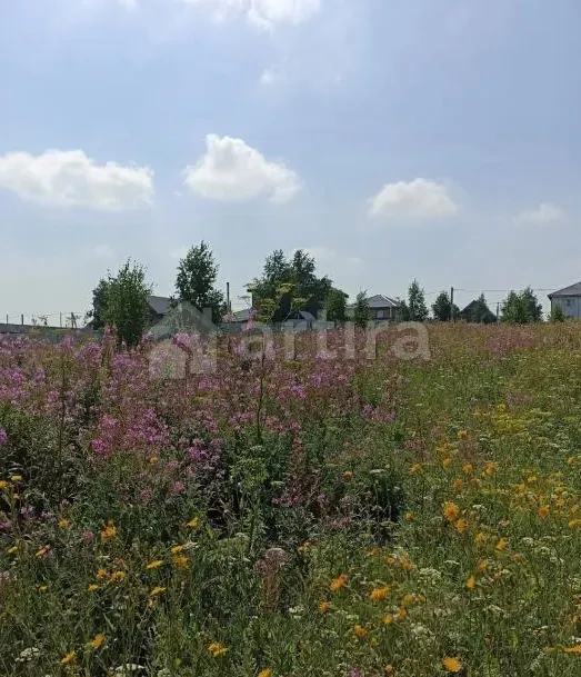 Продам земельный участок, Садовый 15 сот. Красноярск - изображение 1