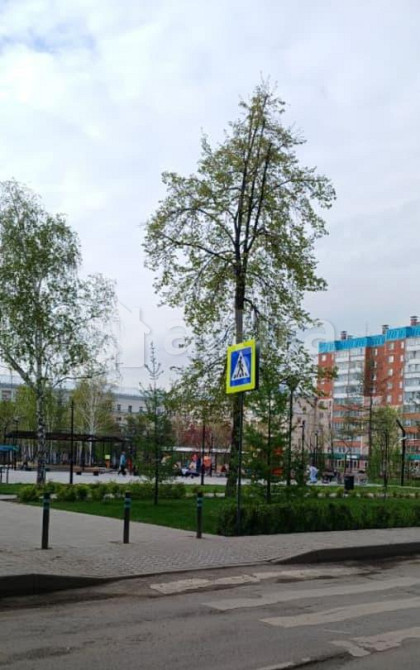 Комната, 18 м2, 3/5 эт. Челябинск - изображение 5