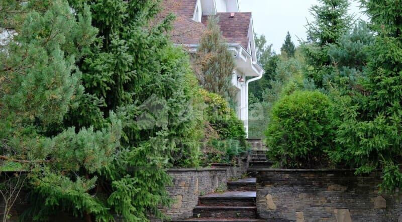 Коттедж, 600 м2 Сосново - изображение 7