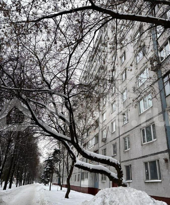 Студия, 13.5 м2, 1/12 эт. Москва - изображение 4