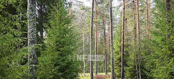 Коттедж, 1500 м2, 1.1 га, 2 эт. Рощино