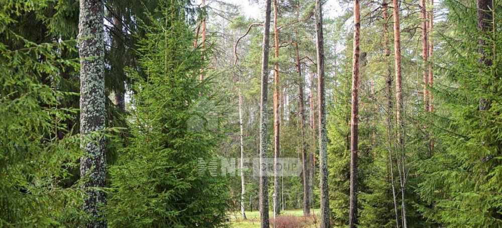 Коттедж, 1500 м2, 1.1 га, 2 эт. Рощино - изображение 4