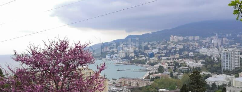 Студия, 21 м2, 1/1 эт. Ялта - изображение 10