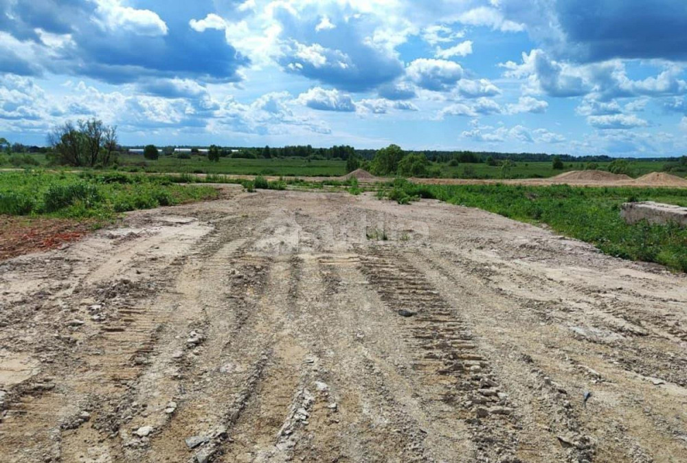 Коммерческий участок, 0.8 га Архангельское - изображение 9