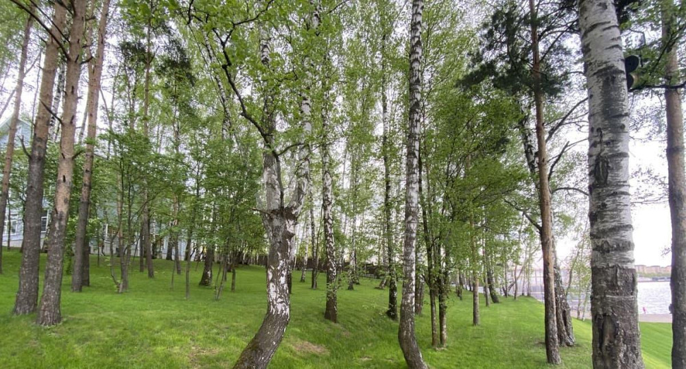 Коттедж, 260 м2, 8 соток Мытищи - изображение 3