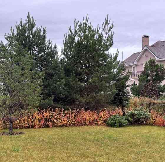 Дом, 150 м2, 6 соток, 2 эт. Истра