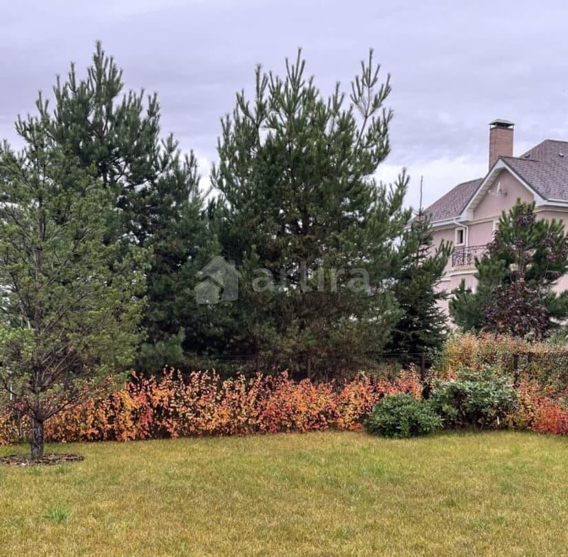 Дом, 150 м2, 6 соток, 2 эт. Истра - изображение 5