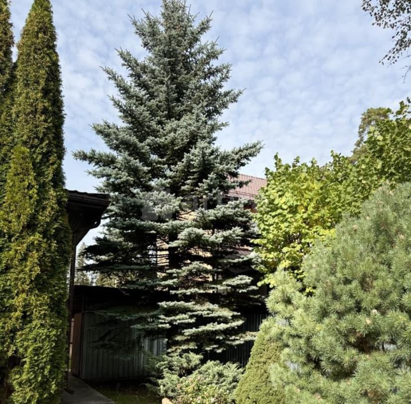 Дом, 200 м2, 12 соток, 2 эт. Солнечногорск - изображение 7