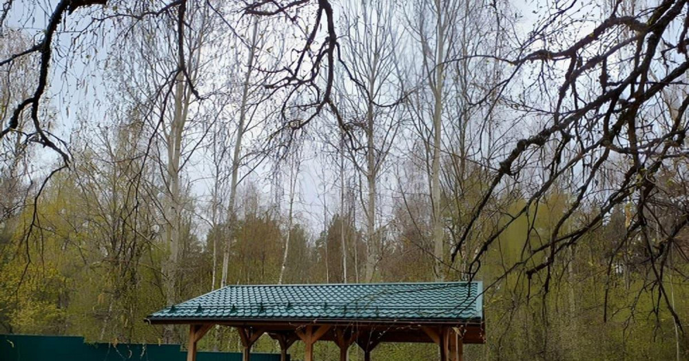 Коттедж, 110 м2, 36 соток, 2 эт. Сосново - изображение 1