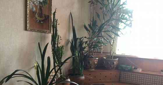 Комната, 20 м2, 15/17 эт. Москва