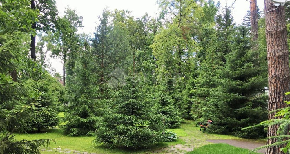 Дом, 400 м2, 23 сотки, 2 эт. Одинцово - изображение 2