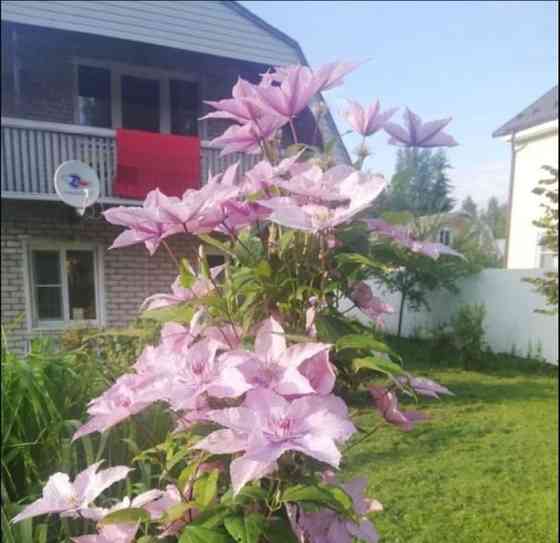 Дом, 86 м2, 12 соток, 2 эт. Щёлково