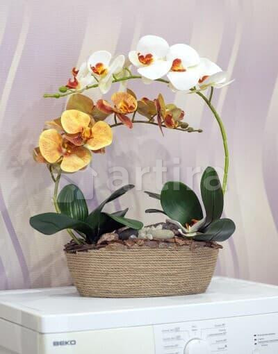 1-комн. квартира, 33 м2, 2/5 эт. Вологда - изображение 14