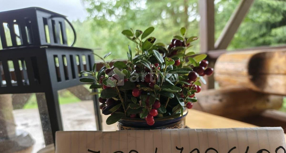 Коттедж, 85 м2, 0.9 га, 1 эт. Волосово - изображение 7