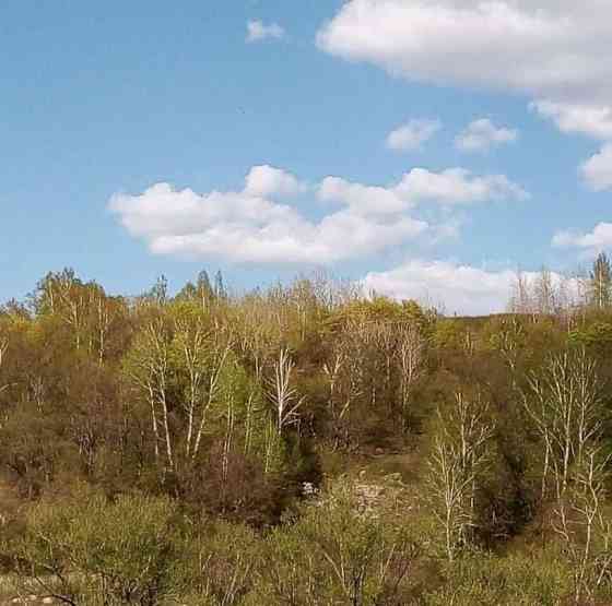 Дом, 44 м2, 10 соток, 1 эт. Светлый