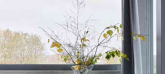 Дом, 82 м2, 50 соток Луга