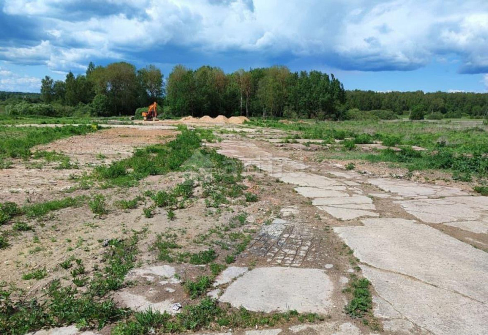 Коммерческий участок, 0.8 га Архангельское - изображение 7