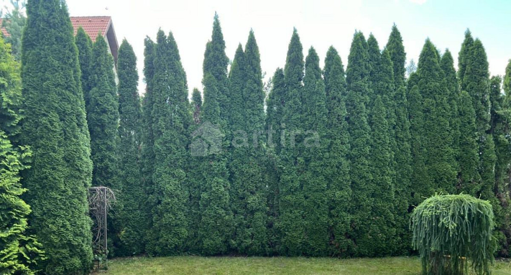 Дом, 350 м2, 15 соток, 3 эт. Красногорск - изображение 7