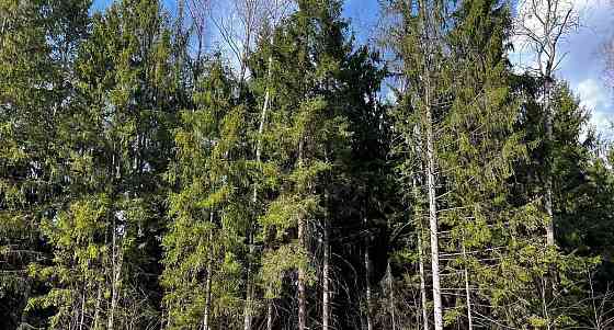 Дом, 220 м2, 12 соток, 2 эт. Москва