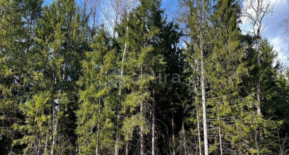 Дом, 220 м2, 12 соток, 2 эт. Москва - изображение 2