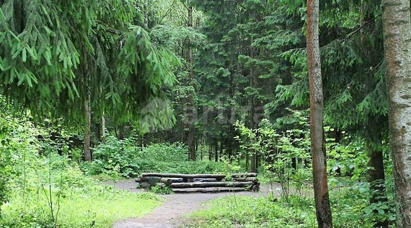 2-комн. квартира, 42 м2, 12/14 эт. Подольск - изображение 10