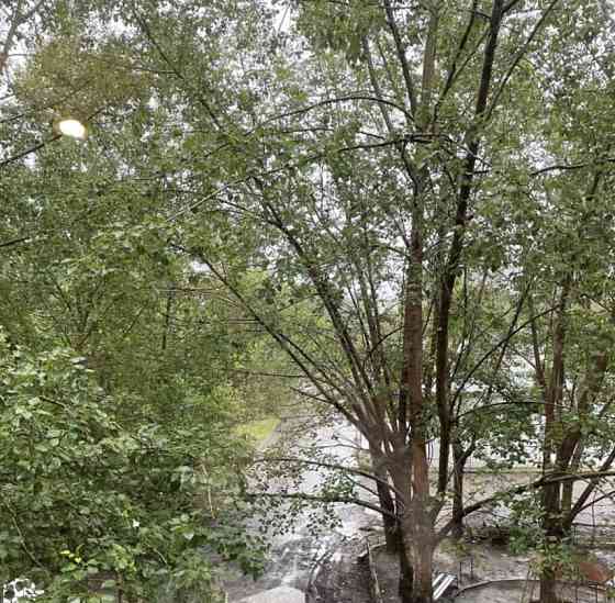 Комната, 23 м2, 3/5 эт. Нижний Тагил