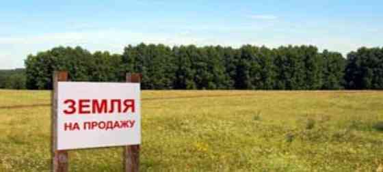 Коммерческий участок, 162 га Камышлов