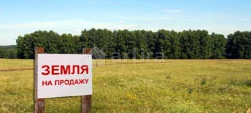 Коммерческий участок, 162 га Камышлов - изображение 3