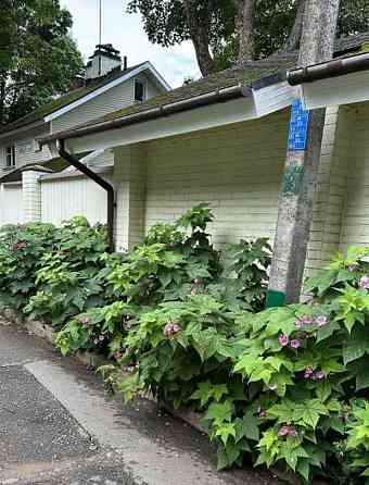 Коттедж, 181 м2, 20 соток, 2 эт. Санкт-Петербург