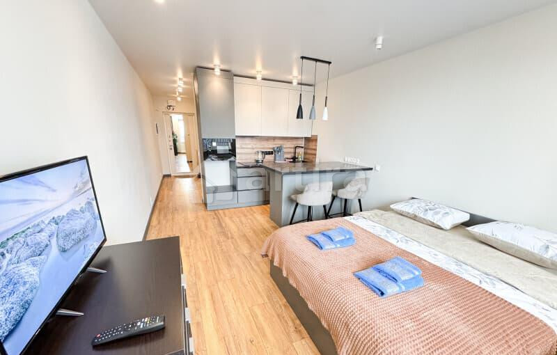 1-комн. квартира, 29 м2, 10/17 эт. Лобня - изображение 2