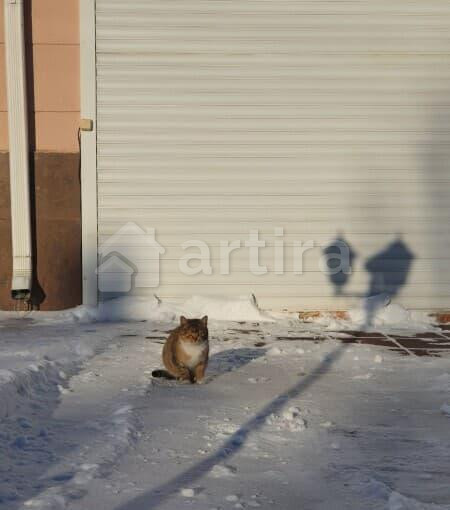 Коттедж, 500 м2 Лобня - изображение 13
