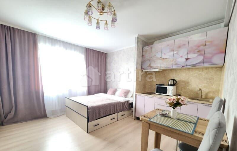 Студия, 24 м2, 14/17 эт. Домодедово - изображение 4