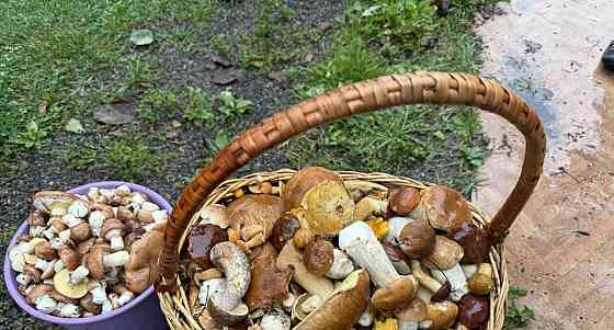 Коттедж, 140 м2, 0.6 га, 2 эт. Сосново