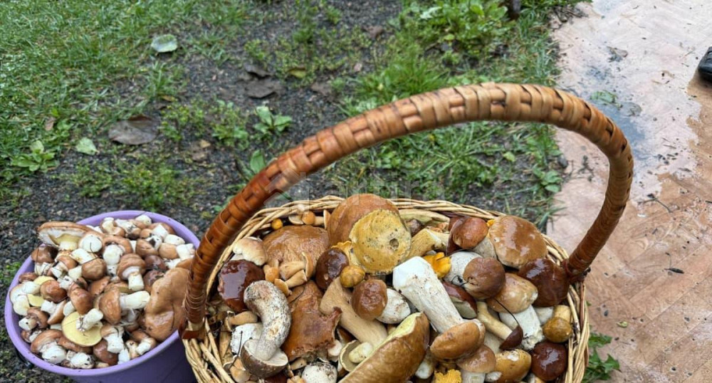 Коттедж, 140 м2, 0.6 га, 2 эт. Сосново - изображение 6