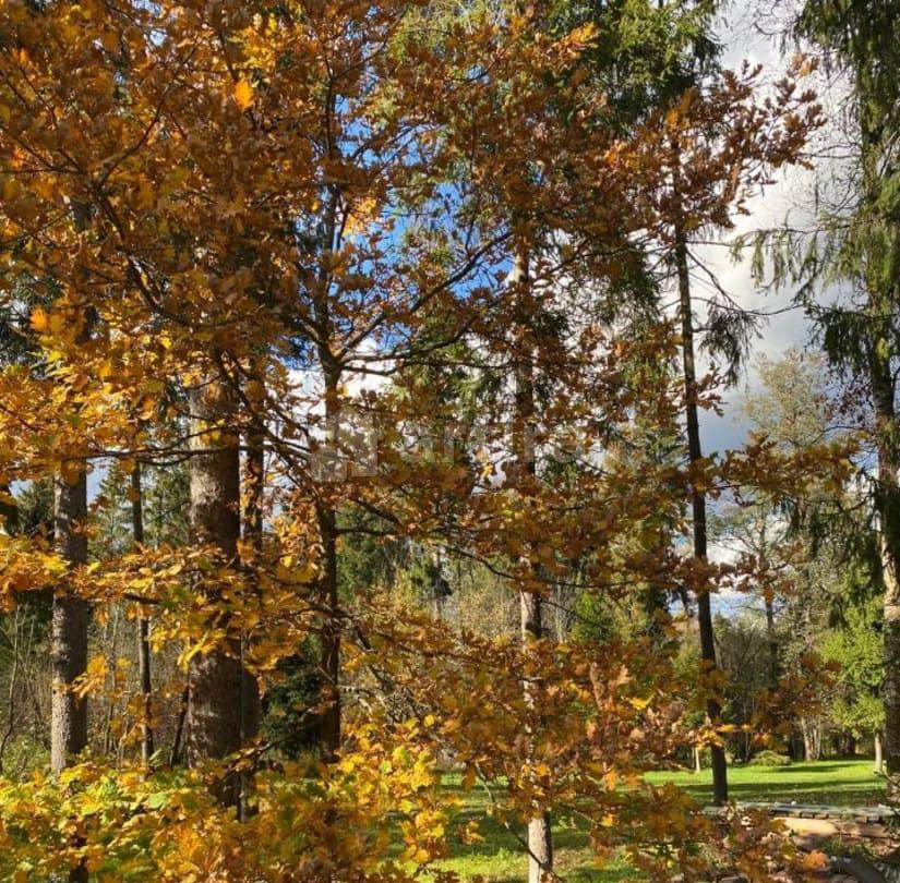 Дом, 300 м2, 30 соток, 2 эт. Москва - изображение 2